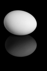 white egg on a black background