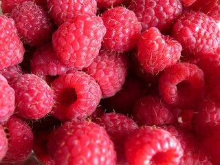 beautiful ripe raspberries