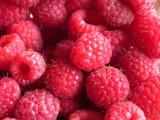 beautiful ripe raspberries