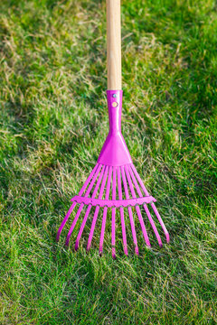 Cleaning green lawn by rake