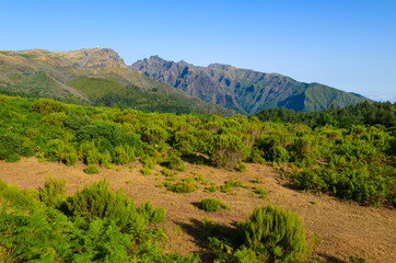 Fototapeta na wymiar Green mountain landscape of Madeira island, Portugal