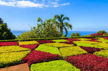 Monte tropical gardens in Funchal town, Madeira island, Portugal