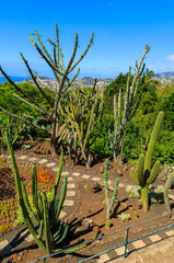 Monte tropical gardens in Funchal town, Madeira island, Portugal