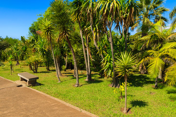 Obraz premium Monte tropical gardens in Funchal town, Madeira island, Portugal