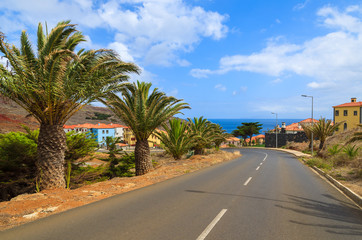 Road with palm trees to Portuguese village, Madeira island