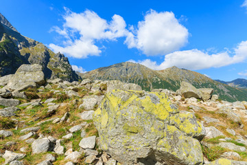 Hiking trail from Morskie Oko in summer, Tatra Mountains, Poland