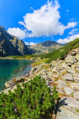 Naklejka na ściany i meble Beautiful Czarny Staw lake in summer, Tatra Mountains, Poland