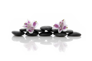 Fototapeta na wymiar Spa concept with two pink orchid on stone with reflection