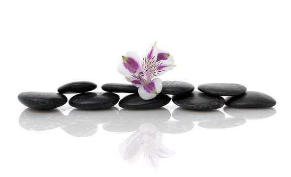 Still life with orchid on black stacked stones