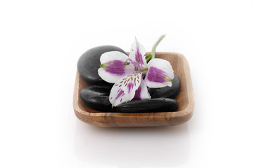 Fototapeta na wymiar wooden bowl of orchids with zen stones