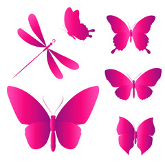 butterflies design