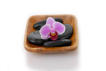 wooden bowl of pink orchid with black stones 