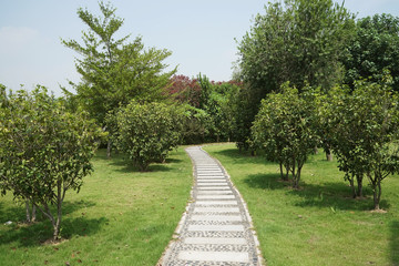 walkway in a beautiful Park