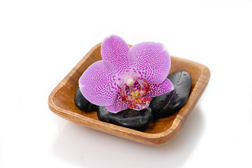 wooden bowl of orchid with black stones 
