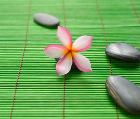 Obraz na płótnie Canvas Set of stones with pink frangipani on green mat