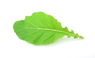 Fototapeta premium Lettuce leaves