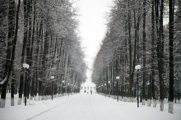 Winter snowy day in park