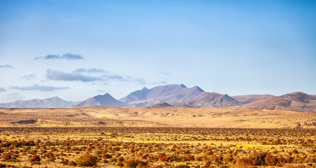 Fuerteventura landscape