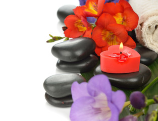 Stones and flower