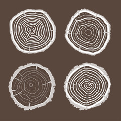 Fototapeta premium Vector tree rings set. Flat Design