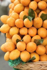 Marian plum fruit - asia fruit