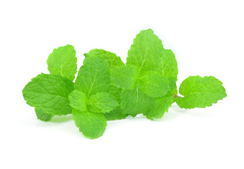 Fresh mint isolated on a white background