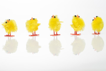 Easter still life with  chickens on white background.
