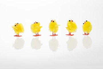 Easter still life with  chickens on white background.