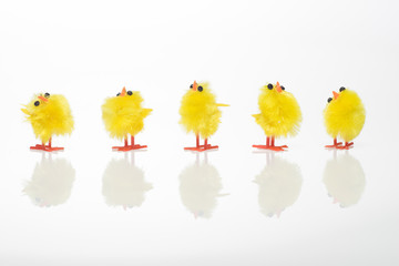 Easter still life with  chickens on white background.