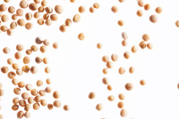 Weiße Senfsamen (Sinapis alba L.), weißer Grund, Studio