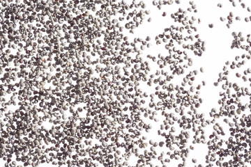 Graumohnsamen (Papaver somniferum), weißer Grund, Studio