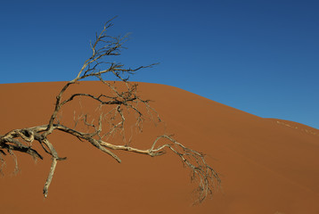 Soussusvlei