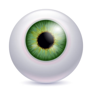 Human eyeball iris pupil - green color.