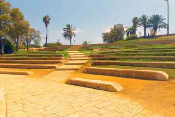 blooming garden in Jaffa, Israel