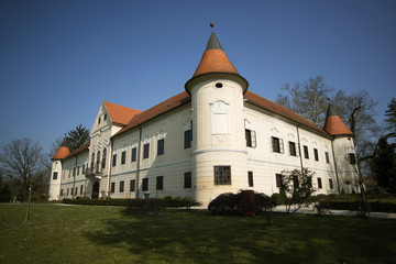 Obraz premium beautiful castle near zapresic