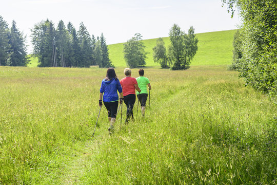 Walkerinnen in gr&uuml;ner Natur