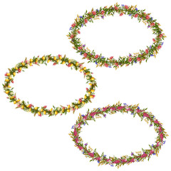 Vector floral oval frames for your design