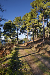 Camino de la Abantera. Sierra de Gredos