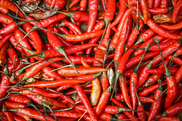 Red chili peppers.
