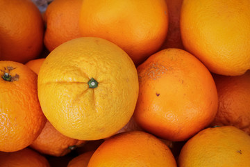 Group of oranges