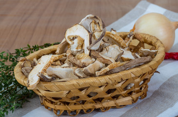 Obraz premium Shiitake