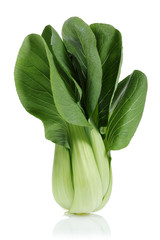 Pak Choi, Chinese cabbage