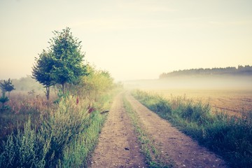 Vintage photo of foggy meadow