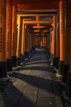 「Tainai-Meguri」の写真素材 | 24件の無料イラスト画像 | Adobe Stock