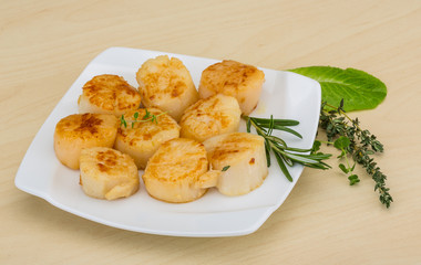 Grilled scallops