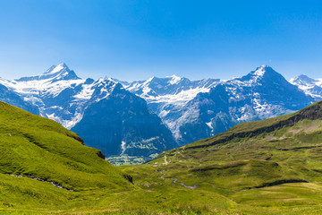 Panorama view of Schreckhorn, Fiescherwand, Eiger