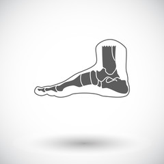 Foot anatomy icon.