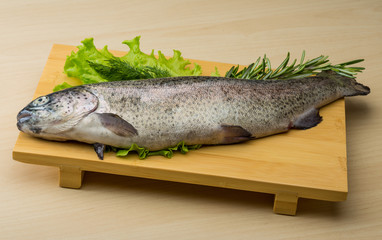 Raw fresh trout