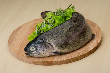 Raw fresh trout