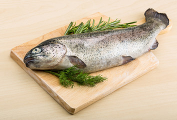 Raw fresh trout